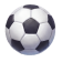 World Championship