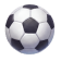 Campeonato Mundial